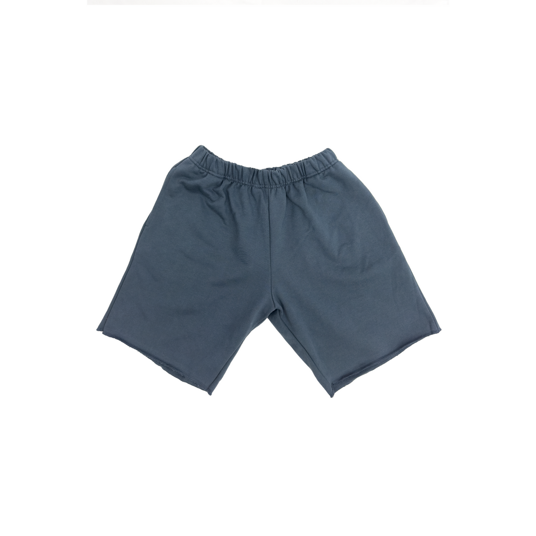 Sweet Threads Frank Textured Blue Shorts